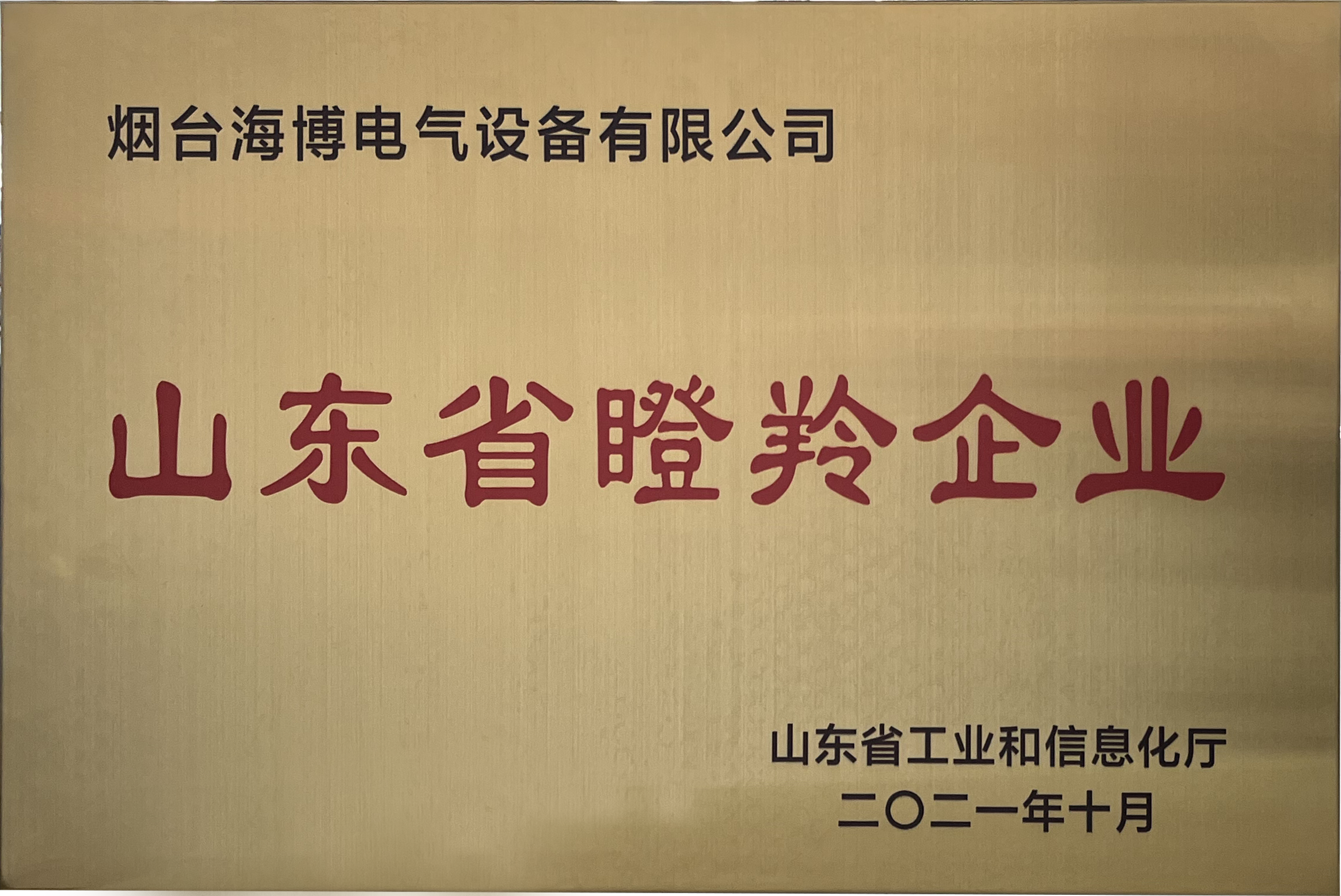 山東省瞪羚企業(yè)