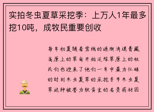 實拍冬蟲夏草采挖季：上萬人1年最多挖10噸，成牧民重要創(chuàng)收